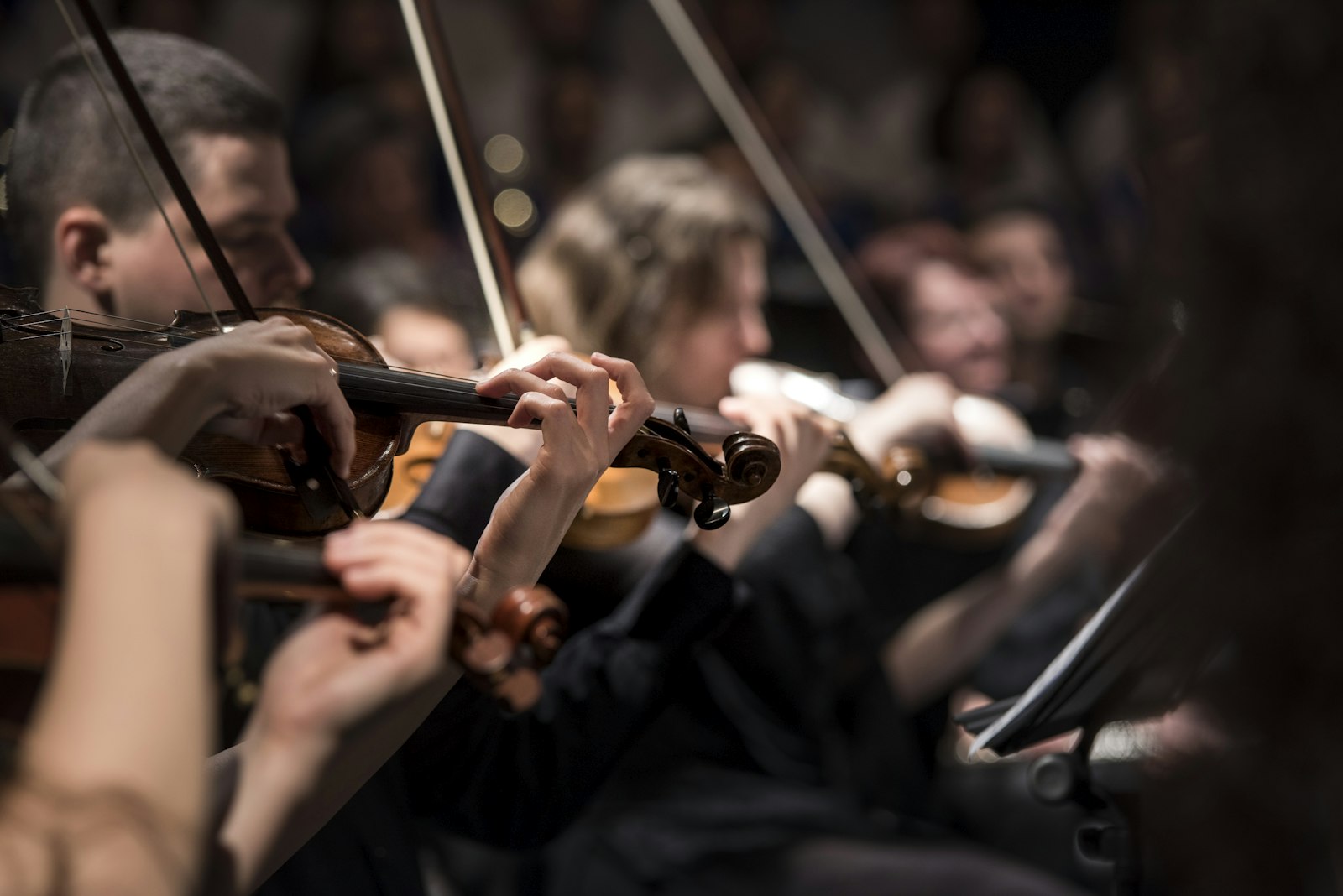 Violinists in an orchestra playing together